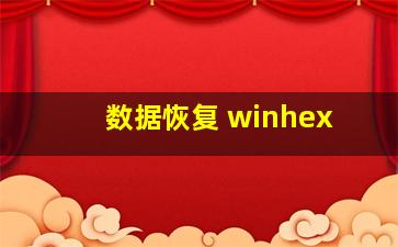 数据恢复 winhex